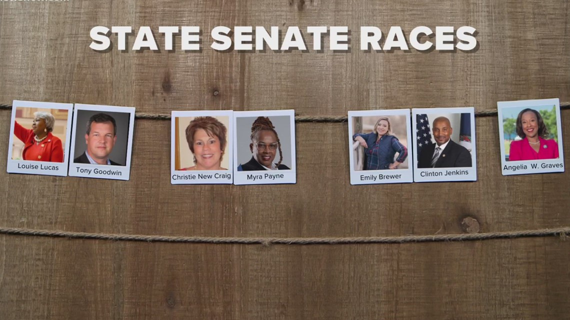 After Virginia primaries, here are the state Senate elections
