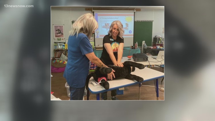 Class to teach people about pet first-aid