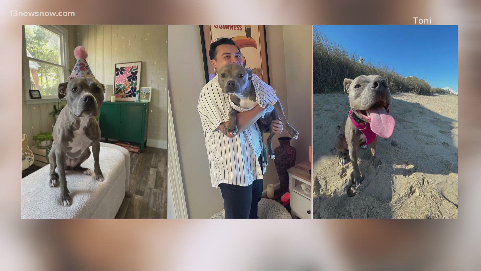 Today is National Dog Day!