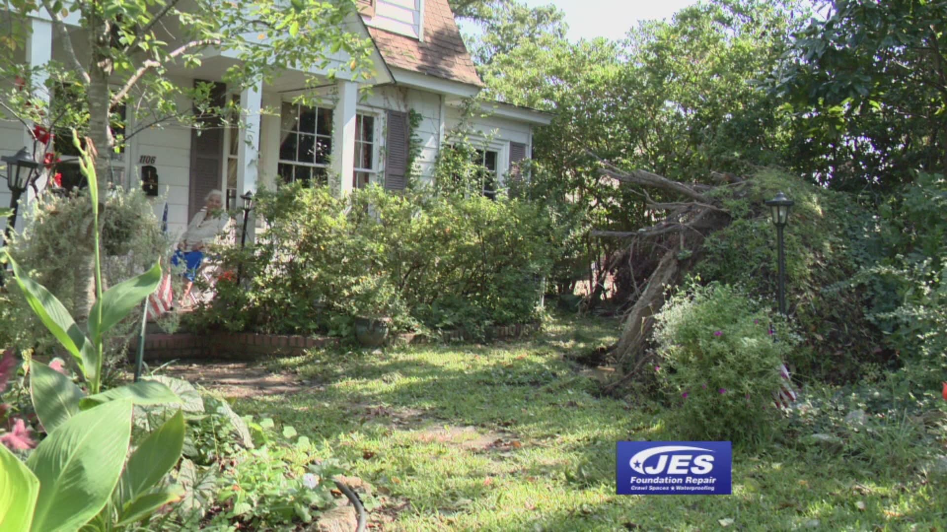 Ninety-five-year-old Thelma Horner sustained more damage after the 80-foot pine tree in her front yard toppled over. “It was tremendous a sound, so I knew the tree had fallen,” said Horner. “I was so thankful it fell towards the street and not towards the house.”