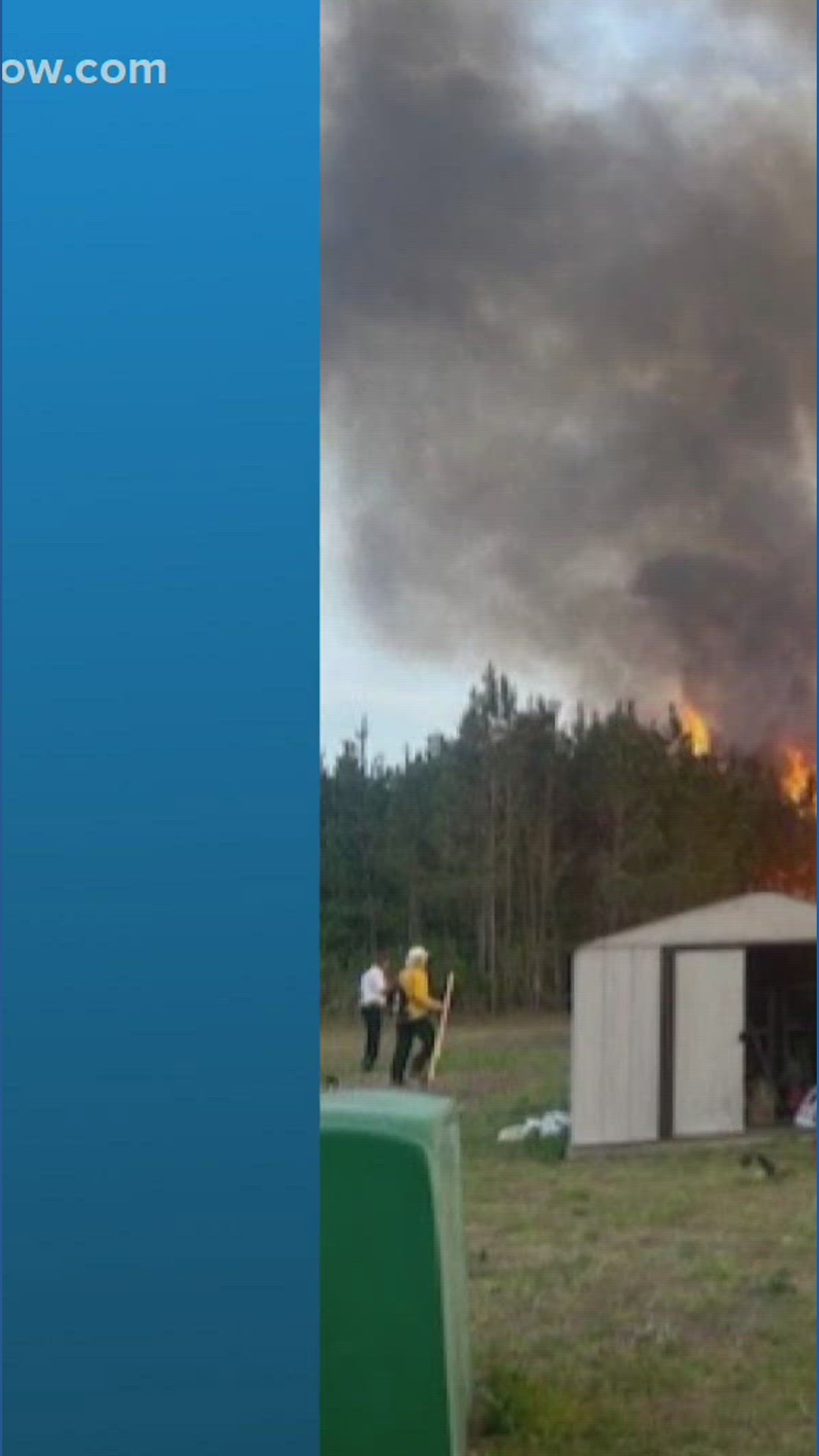 Suffolk firefighters extinguish brush fire in stand of pine trees off ...