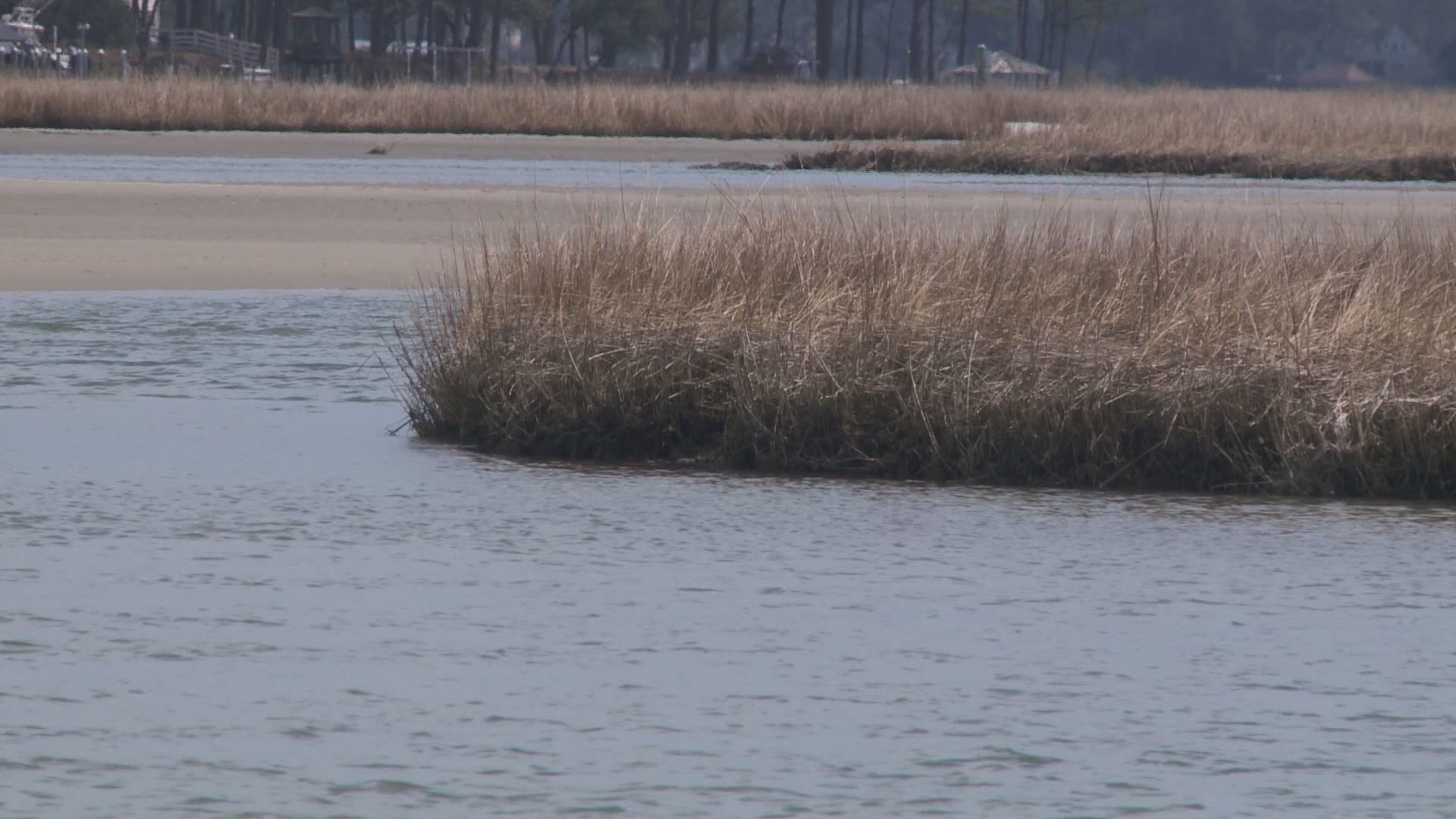 Hampton adds flexibility to Chesapeake Bay buffer zone building requirements