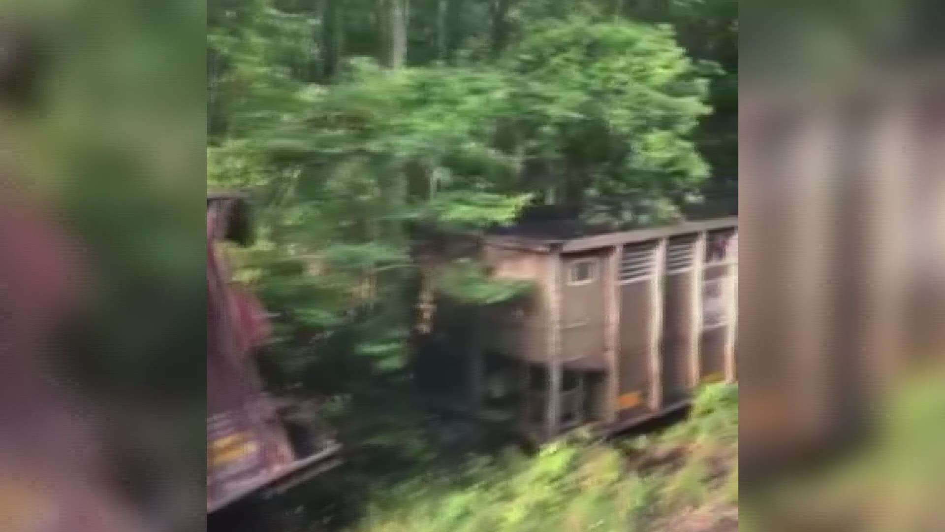 Conrad Brinkman shared this video after Amtrak service resumed on Thursday. A coal train derailed at the Great Dismal Swamp on Tuesday, June 25, 2019. (Video: Conrad Brinkman)