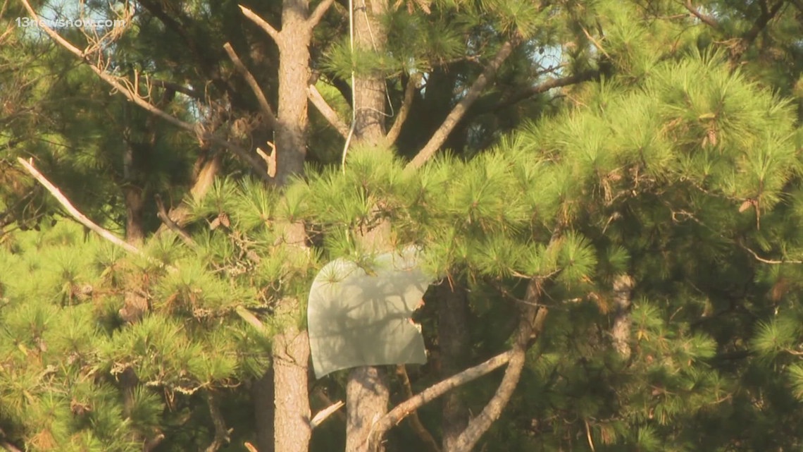 NTSB Provides Latest Updates on Tragic Plane Crash in Outer Banks