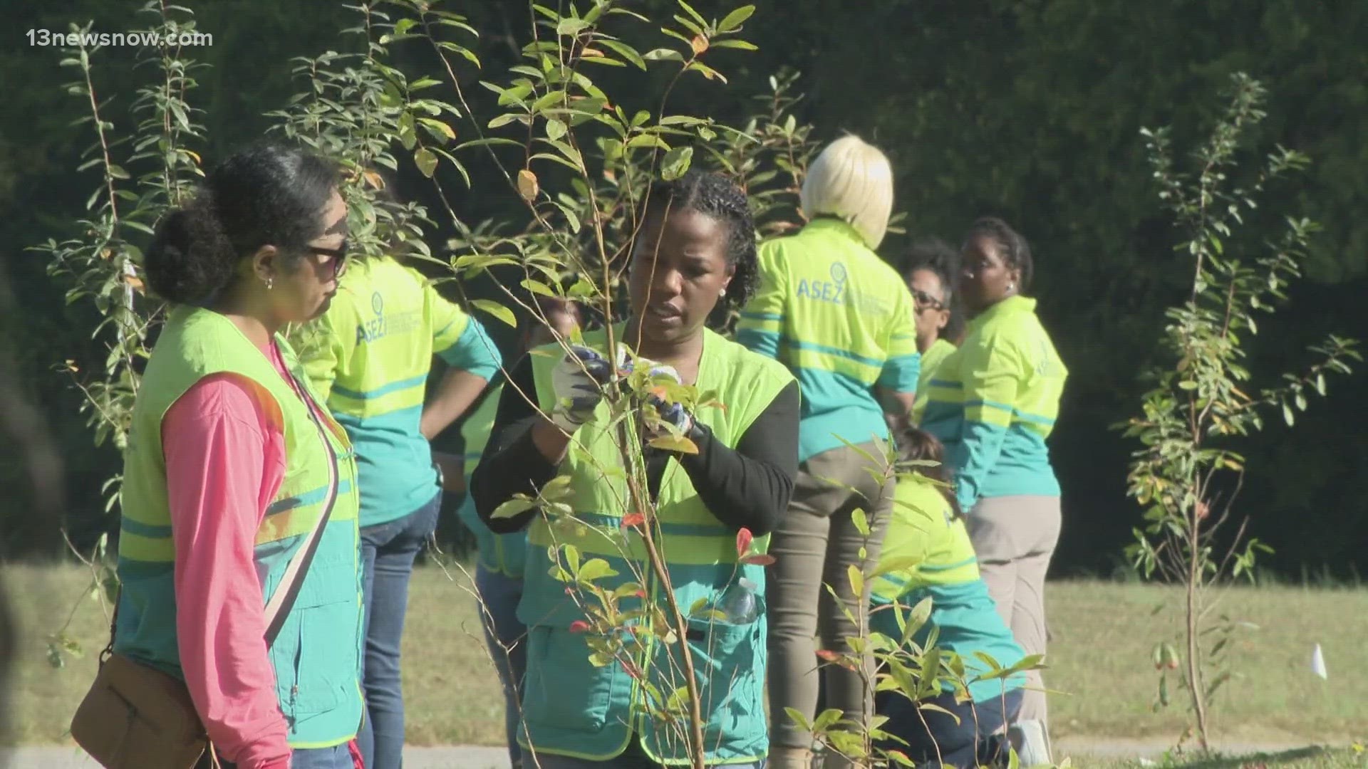 Over in Suffolk, a group of environmentalists did just that. More than 60 volunteers went to Sleepy Hole Park to plant trees.