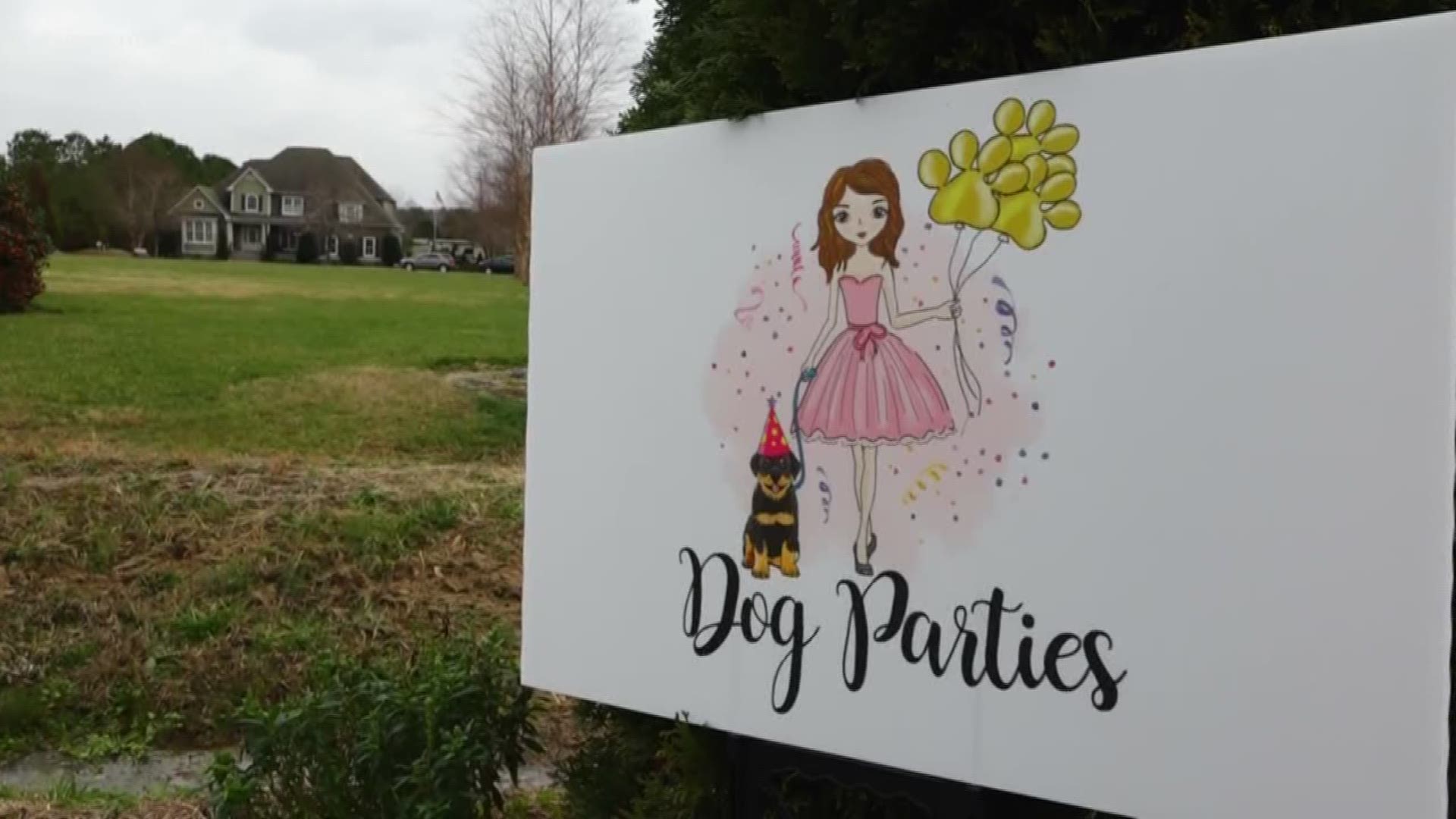 It's a big week for Bentley! He just turned seven! In this episode of Bentley and Friends, we turn to the professionals who know how to throw a successful dog party!