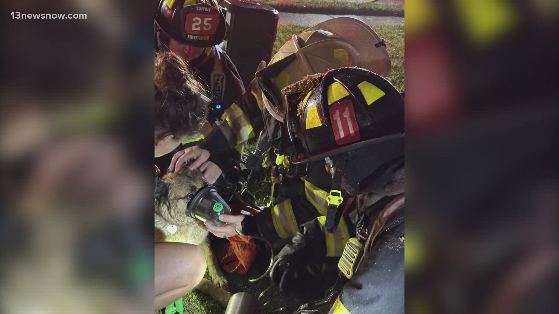 A dog was rescued from a fire at a Suffolk home early Saturday morning.