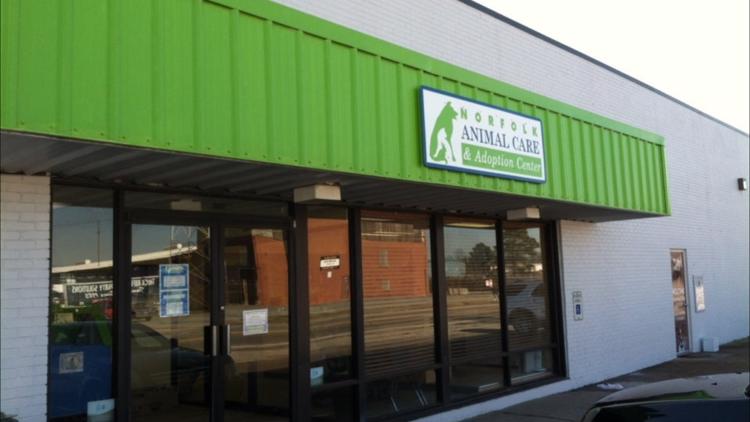 Norfolk Animal Care and Adoption Center reopens in-person visit  opportunities 