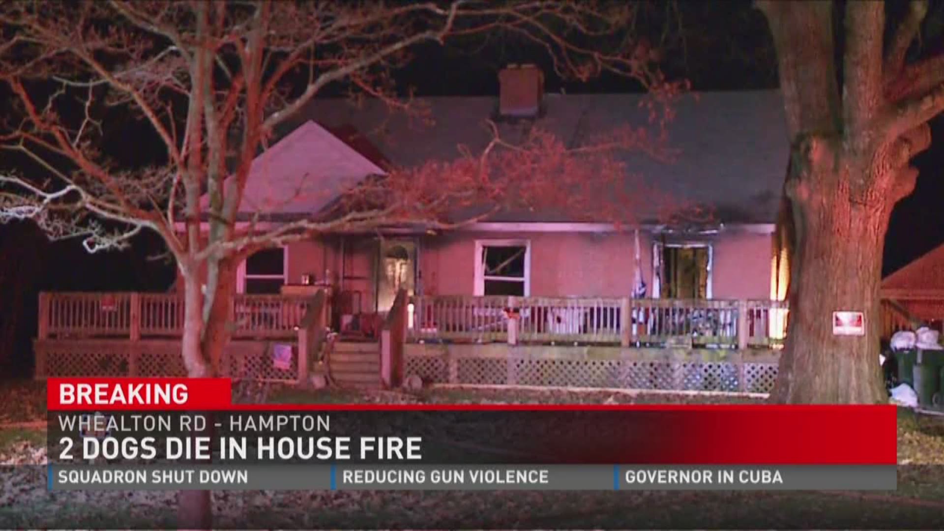 Hampton house fire kills two dogs