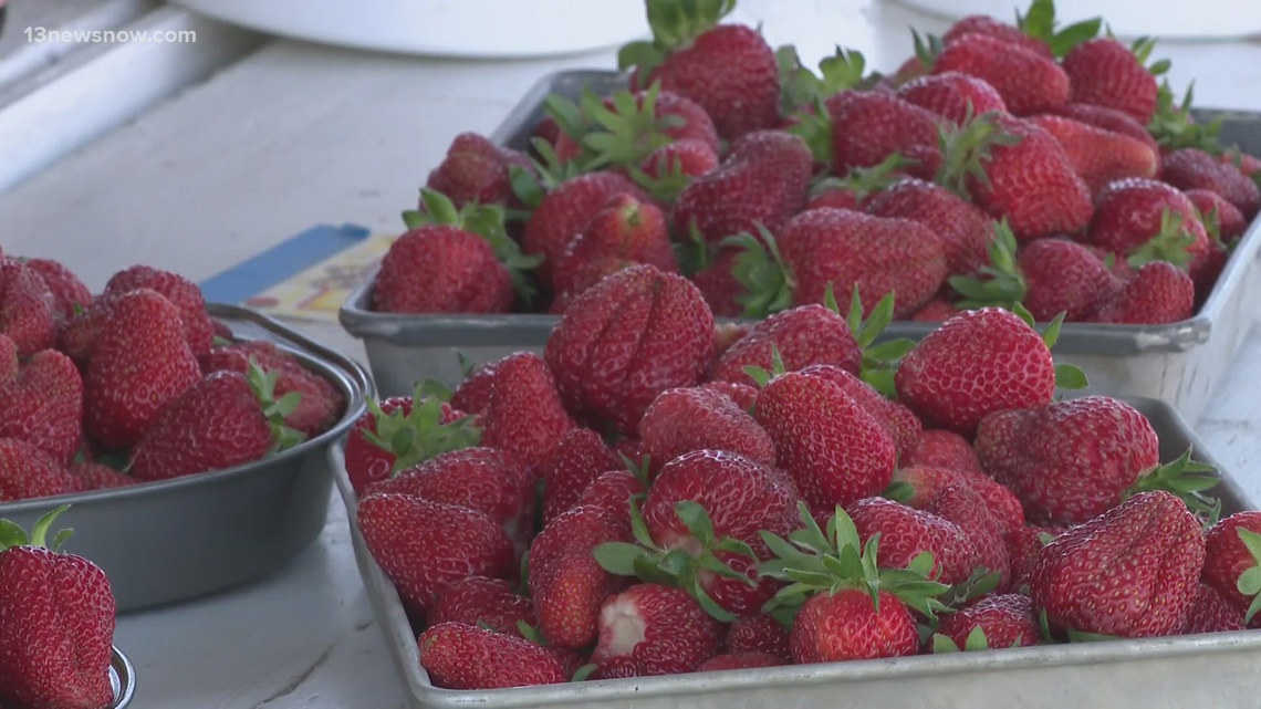 Early strawberry season draws crowds in Virginia Beach amid rising costs