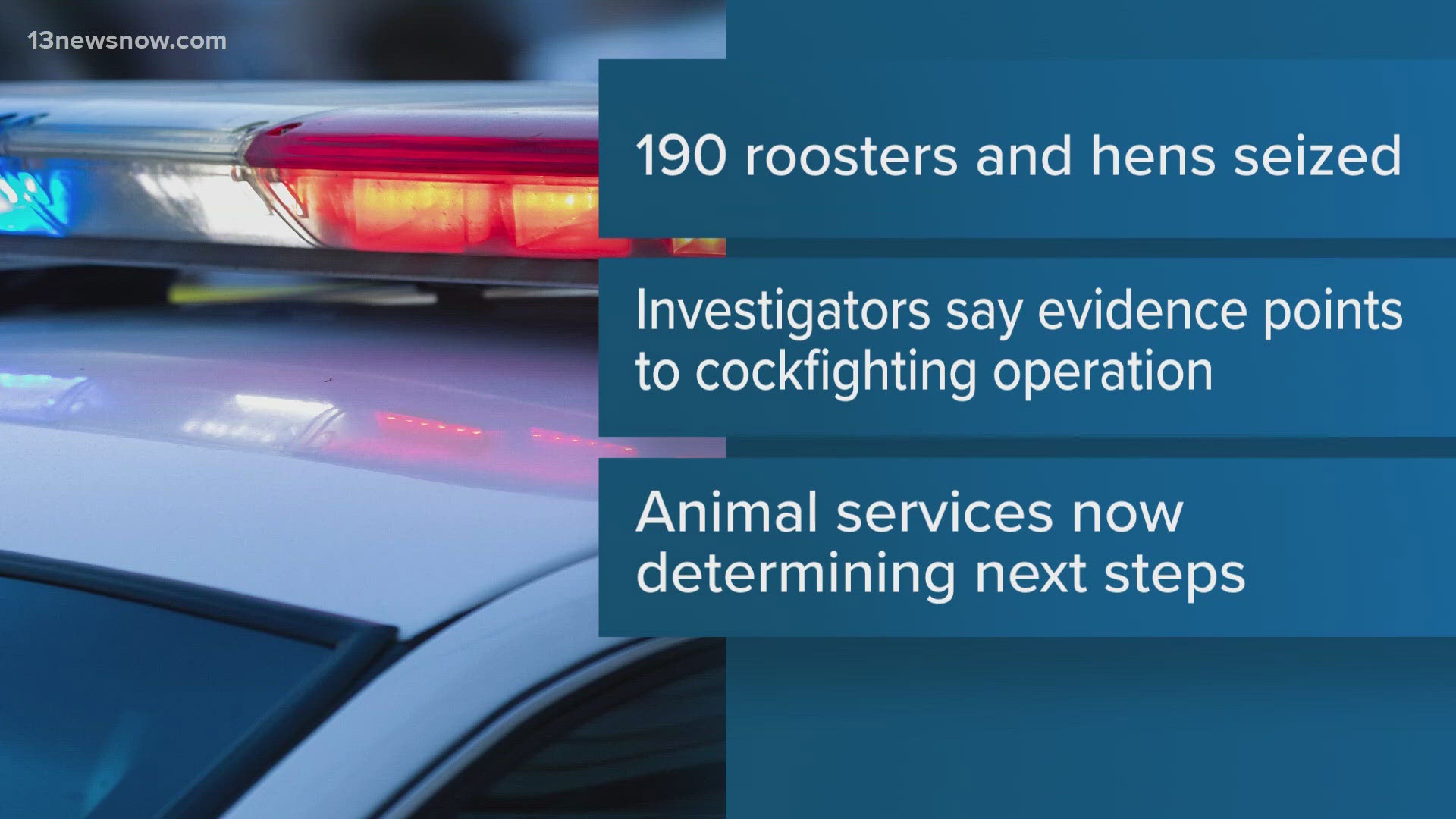 Virginia authorities seize over 250 animals in Isle of Wight County ...