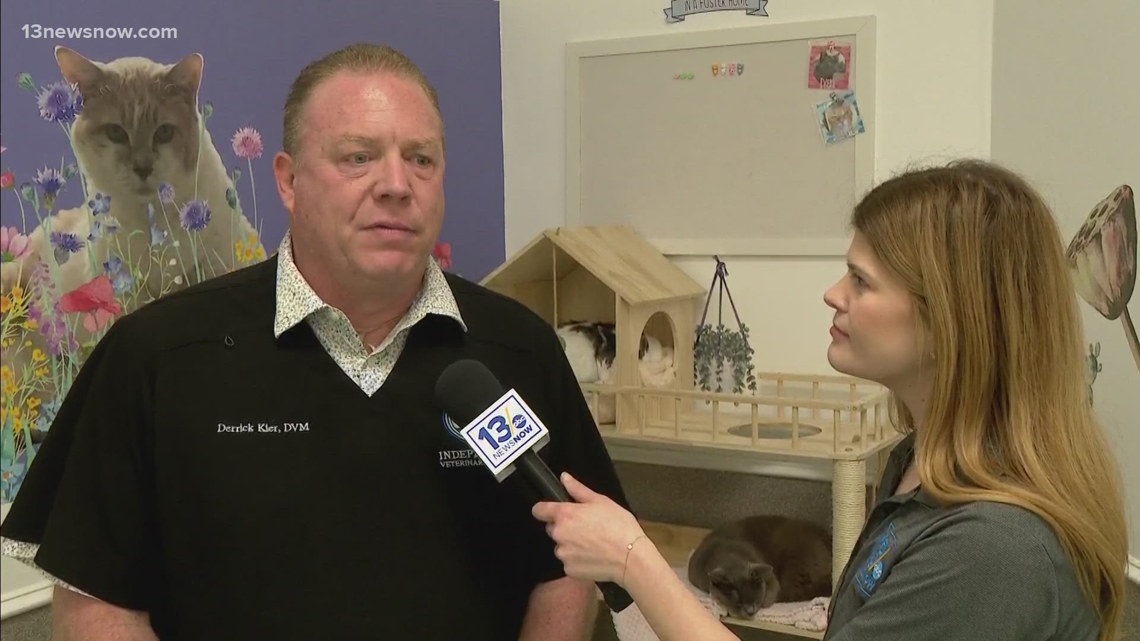 Paws for Charity: Saving animal lives at Hope for Life Rescue ...