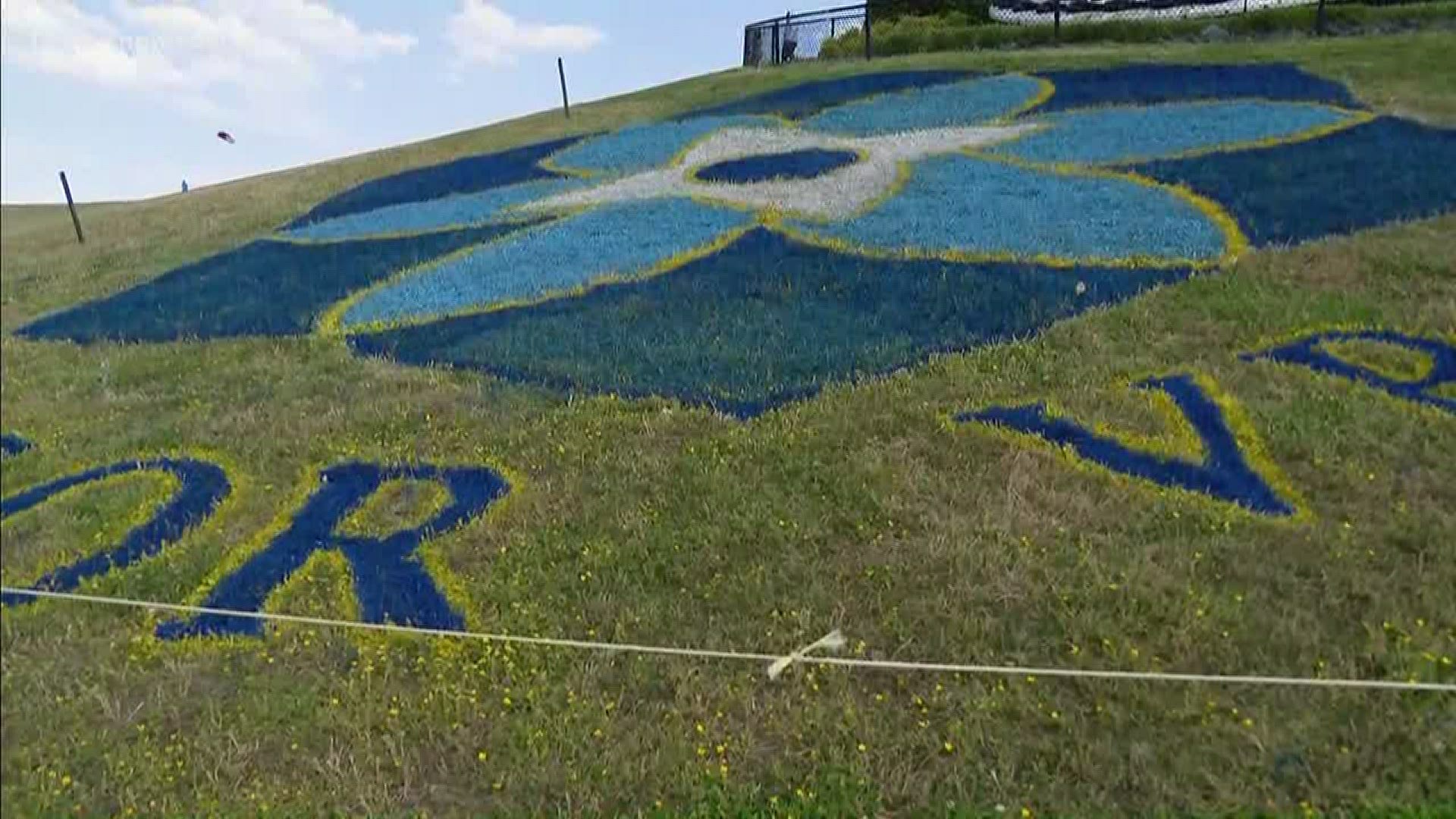 The forget-me-not symbol represents the victims who were hurt and killed in the city's mass shooting in May 2019.