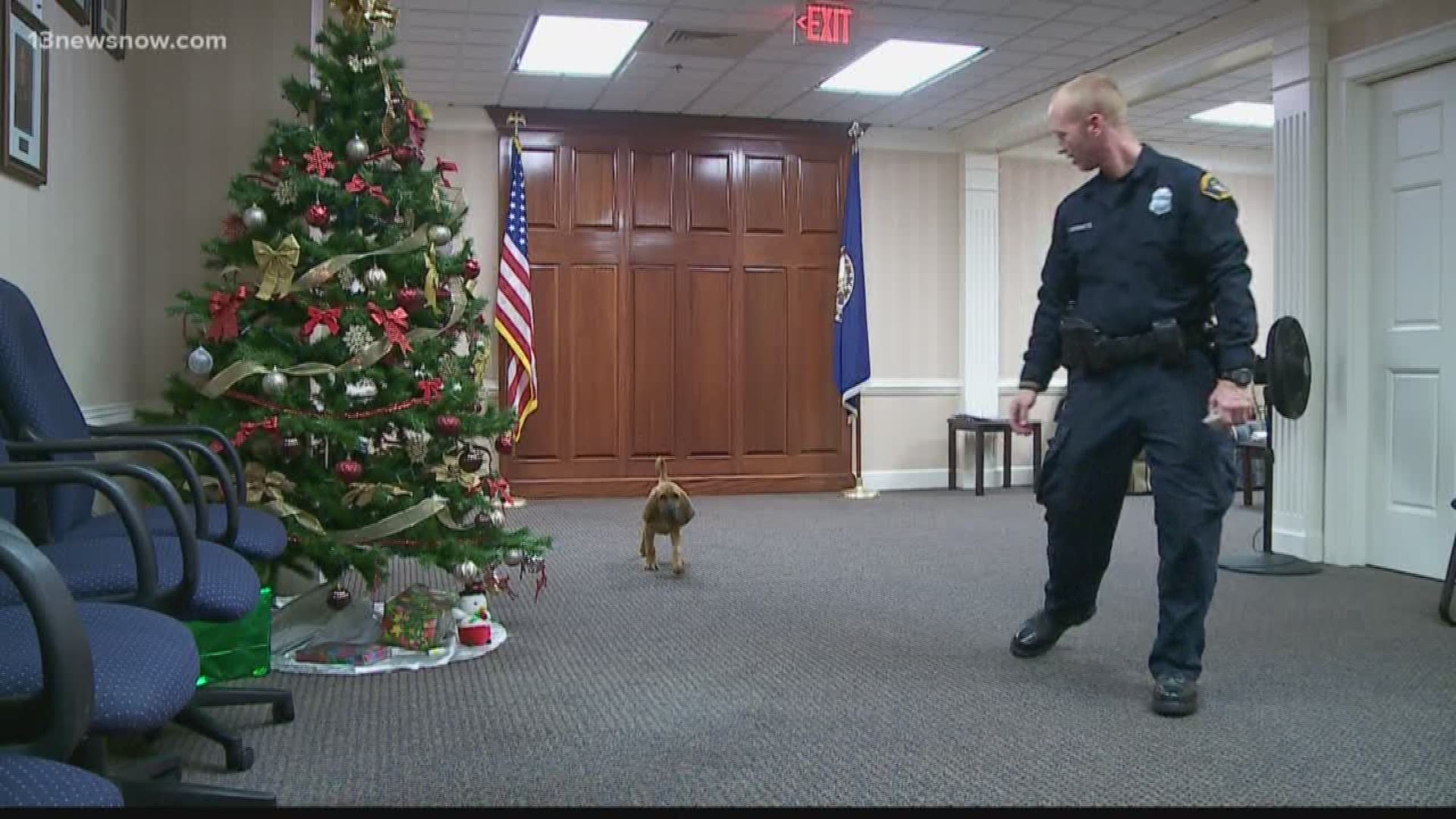 The newest Portsmouth police officer has a name, Duke!