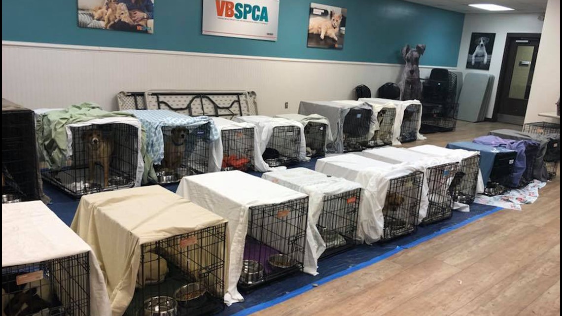 Virginia Beach SPCA in need of donations after taking in 28 dogs from