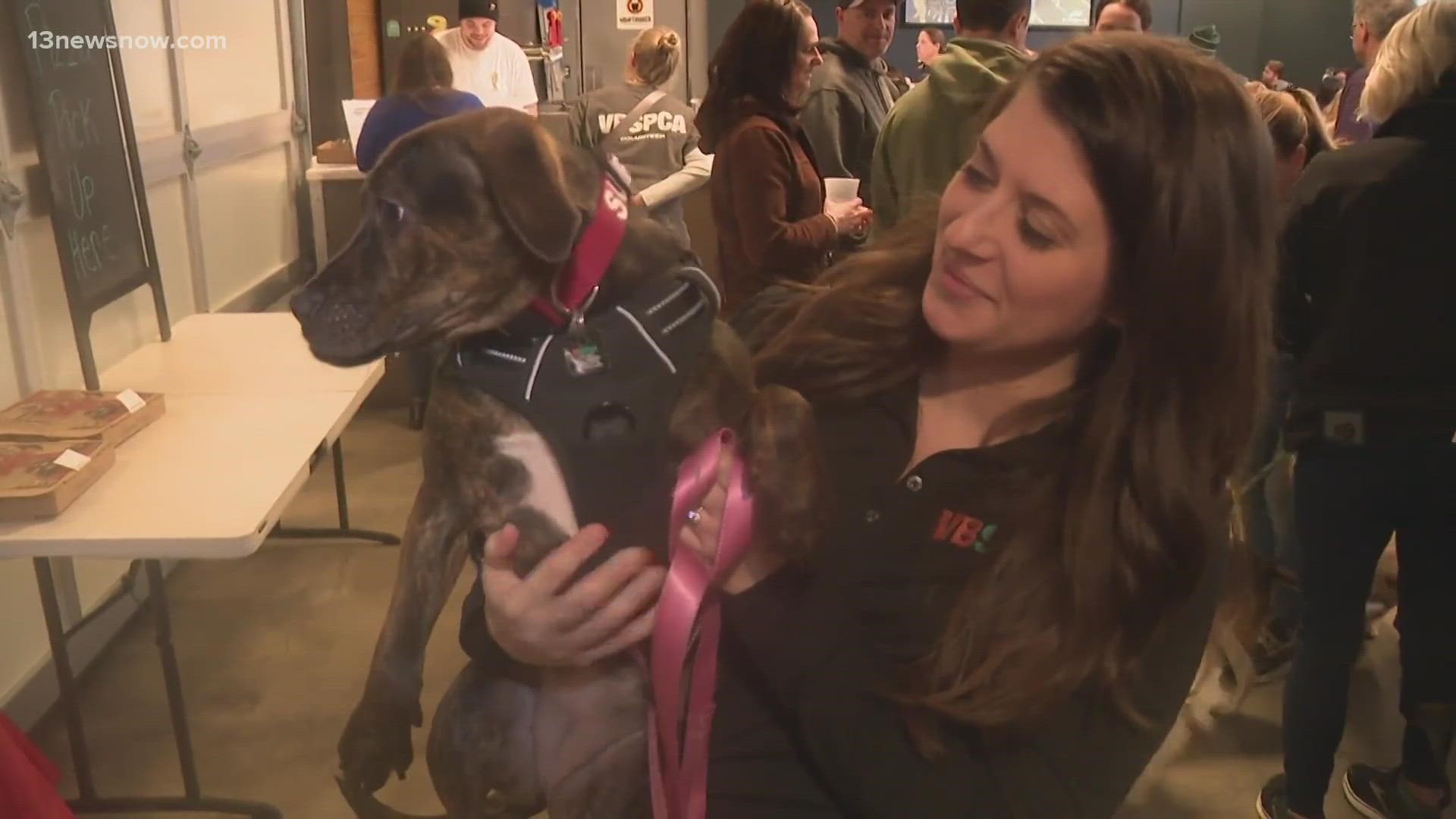 The Virginia Beach SPCA held a *tail-gate" party at Smartmouth Pilot House to celebrate their participants in 'Puppy Bowl 2023!'