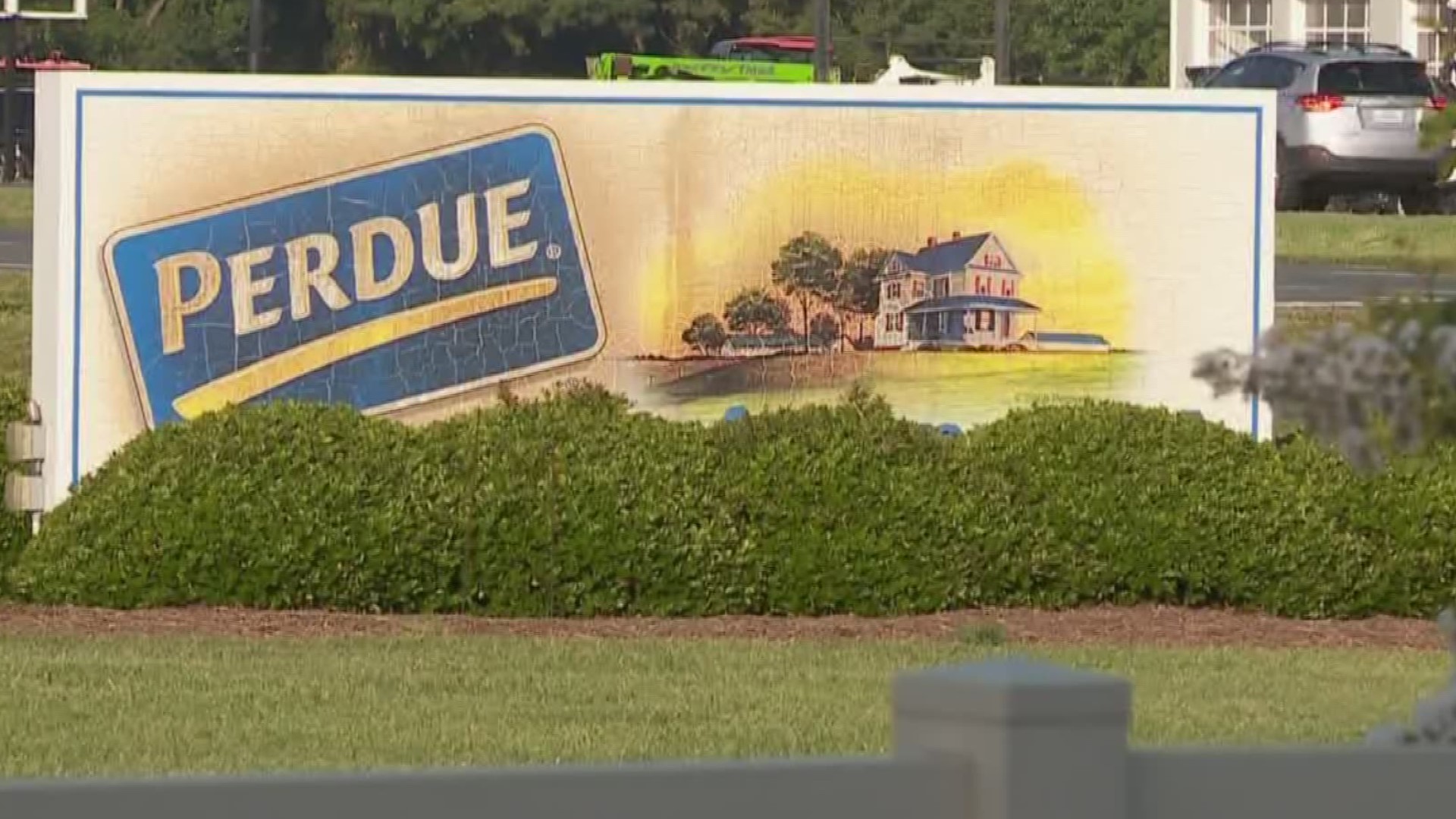 A contractor company has been accused of illegally hiring children to clean the Perdue Farms plant on the Eastern Shore during the overnight hours.
