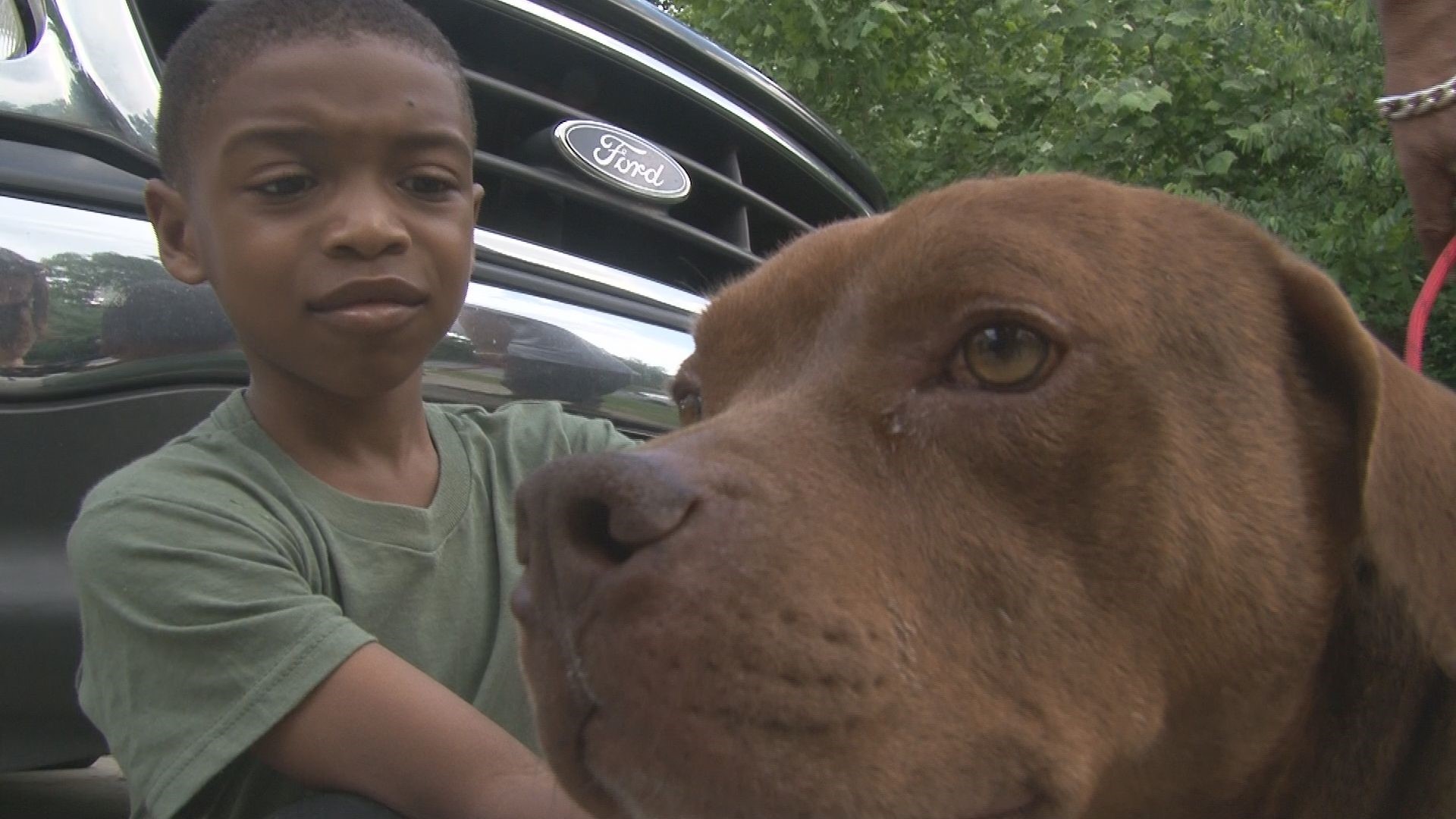 NC family reunited with dog after 5 years, thanks to microchip ...