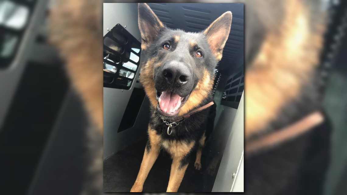 One less gun: Newport News K-9 helps locate hidden firearm | 13newsnow.com