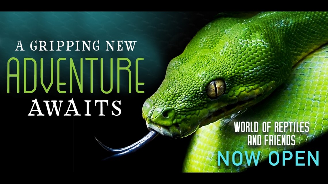 The Virginia Zoo opens 'World of Reptiles'