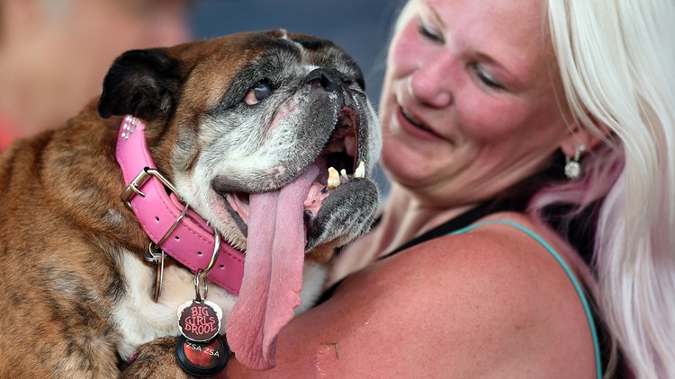 zsa zsas owner called her passing "devastating.