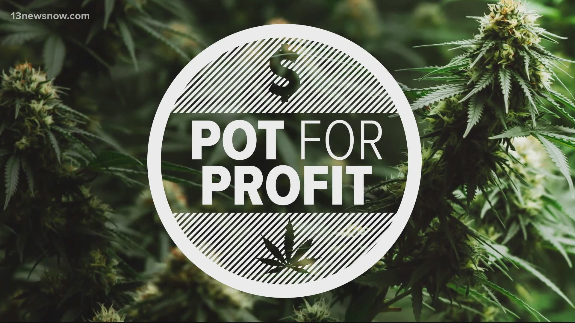 Pot For Profit: A 13News Now special report on Virginia's changing laws, views, and attitudes on legal marijuana.