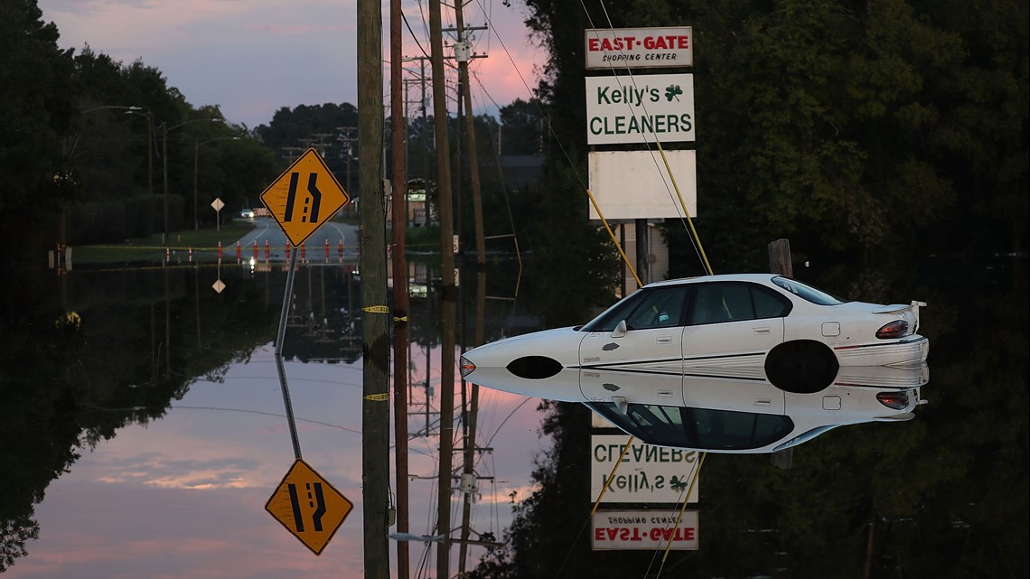 Hundreds of fish stranded on I-40 after Hurricane Florence floodwaters  recede