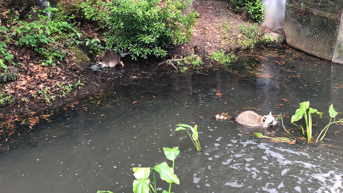 Virginia Living Museum among first zoos and aquariums in Hampton Roads to reopen its doors