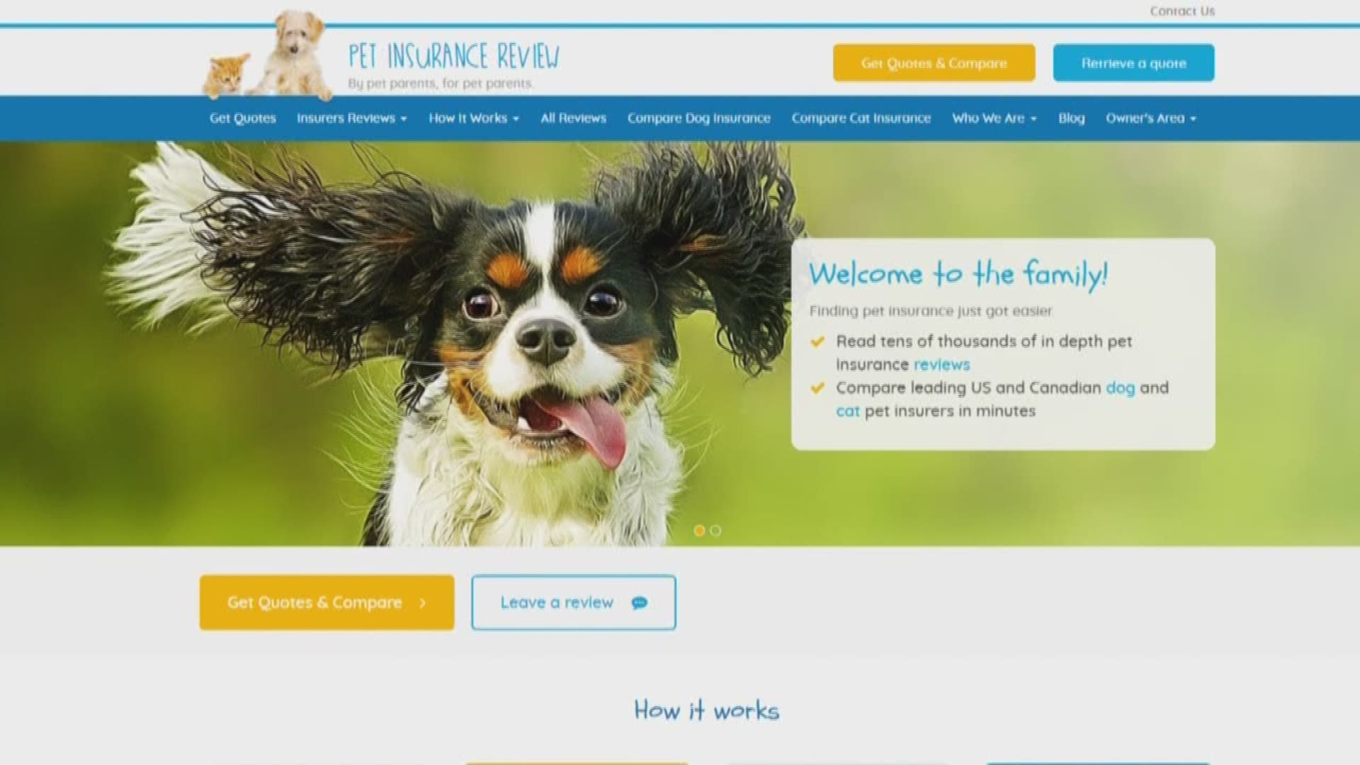 We take a look into the booming pet insurance industry.