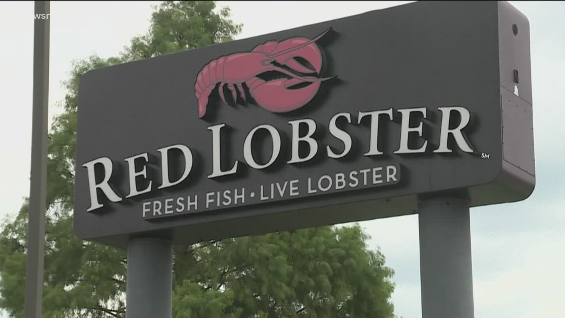 Red Lobster is expected to be acquired by an investor group later in September to help it emerge from bankruptcy and settle its debt.