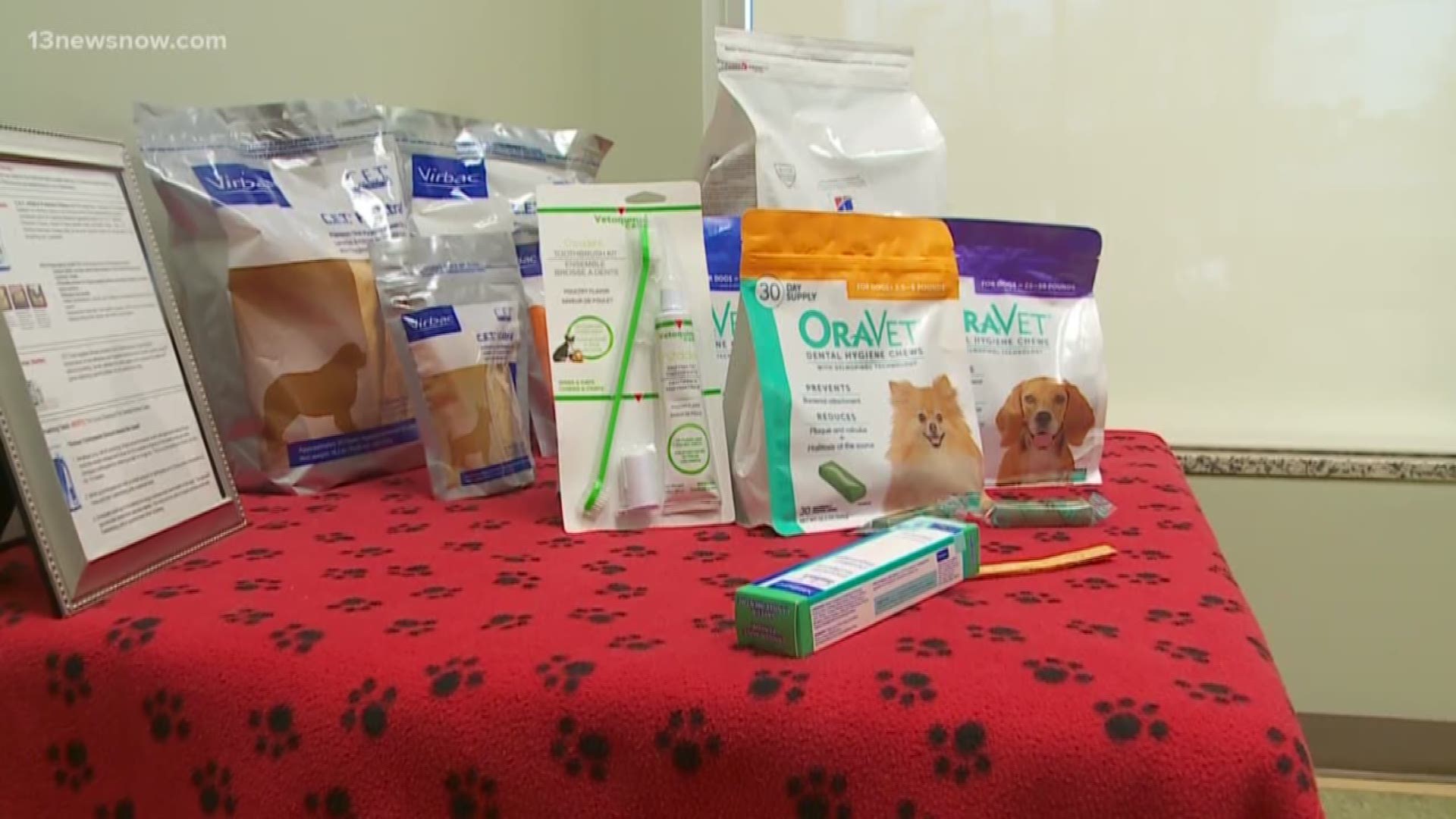 "The American Veterinary Dental Association recommends brushing your dog's teeth every day," Nadeen from Care-A-Lot said. She knows that can be hard so she aims for twice a week. She also provided some other tips, like making it fun.
