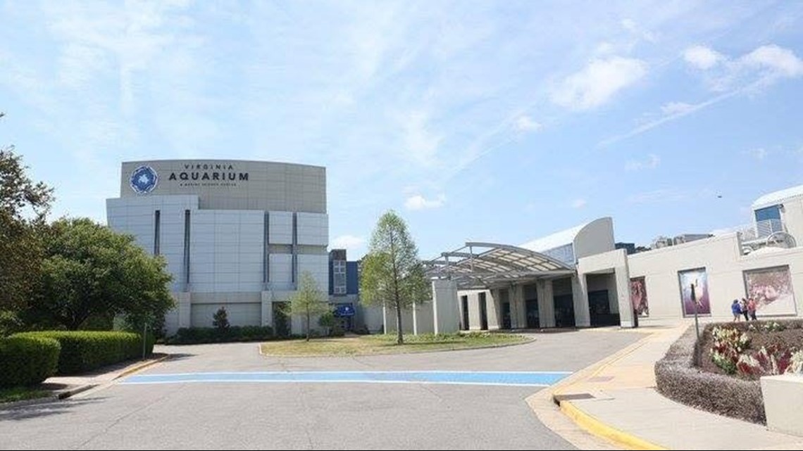 In October Virginia Aquarium offers 50 off admission for Hampton Roads