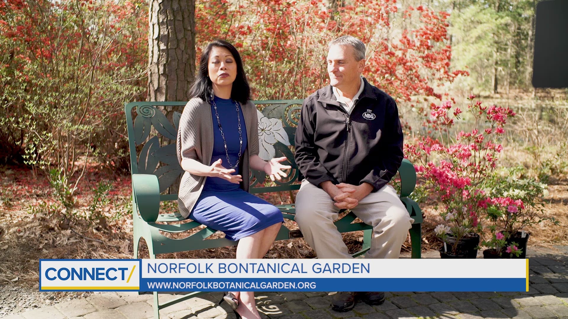 Norfolk Botanical Garden is blooming with beautiful Azaleas!  We spoke with them ahead of the WPA Garden Heritage Celebration – honoring the 220 African Americans who cleared swampy land and planted the first Azaleas.