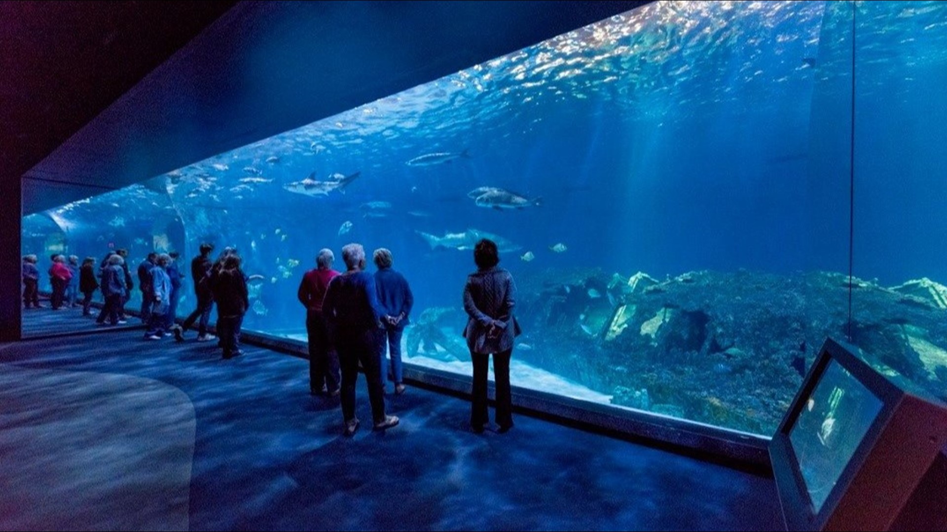 North Carolina Aquariums honor veterans on Nov. 11