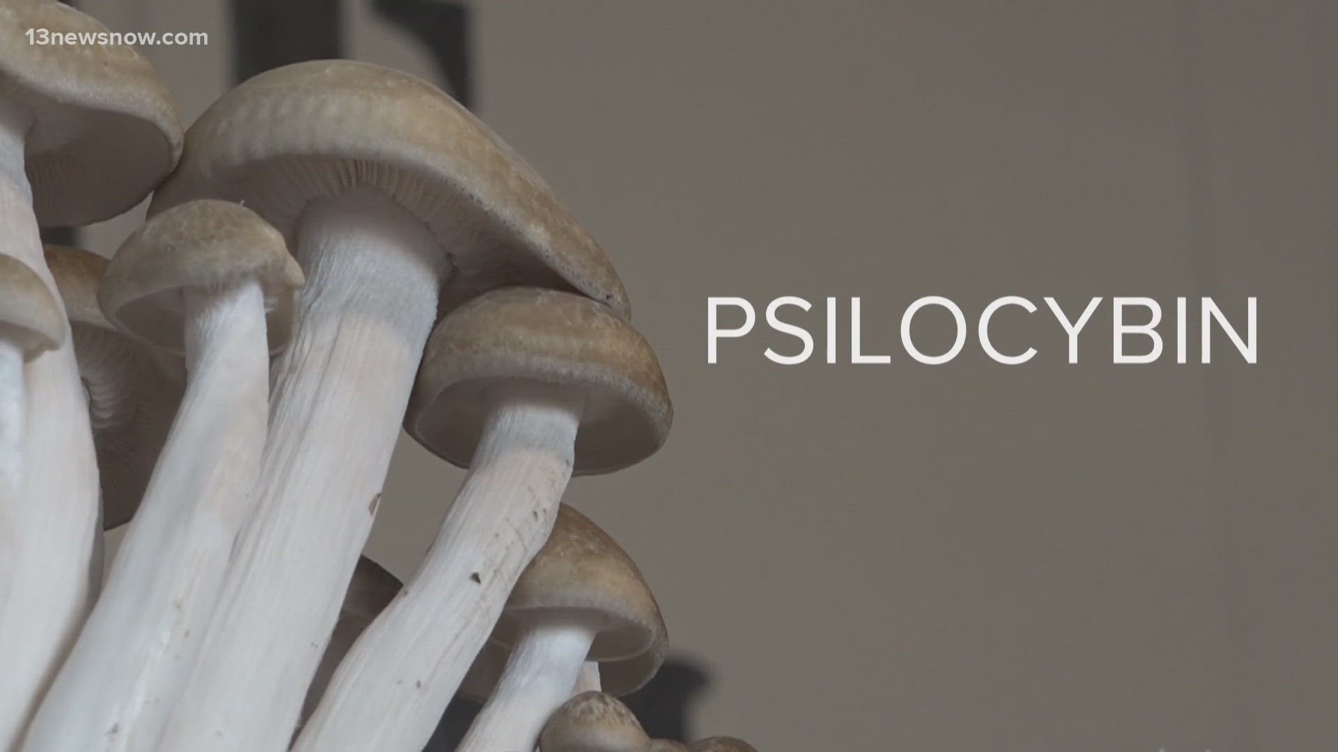 The use of psychedelics is at the center of a push to help veterans suffering from post-traumatic stress disorder (PTSD).