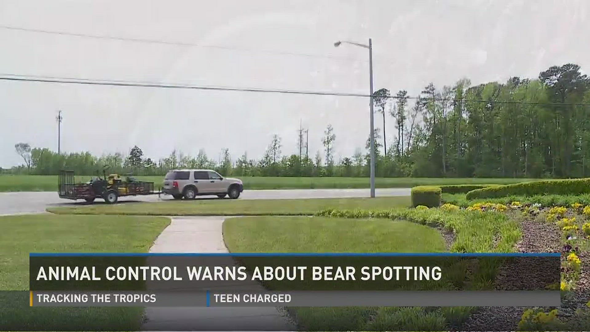 Animal control warns about bear spotting