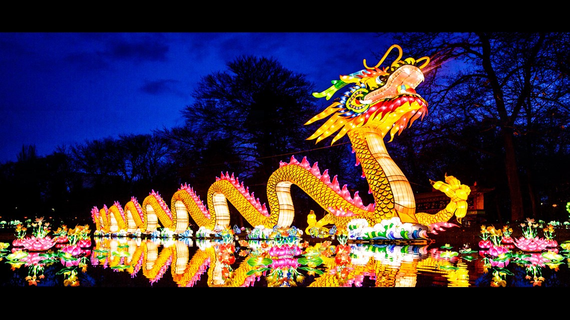 Lanternasia Extended To June 8th At Norfolk Botanical Garden