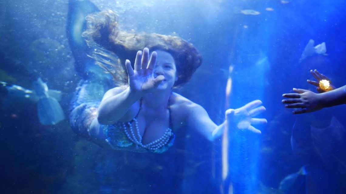 Mermaid Mondays return to the Virginia Aquarium | 13newsnow.com