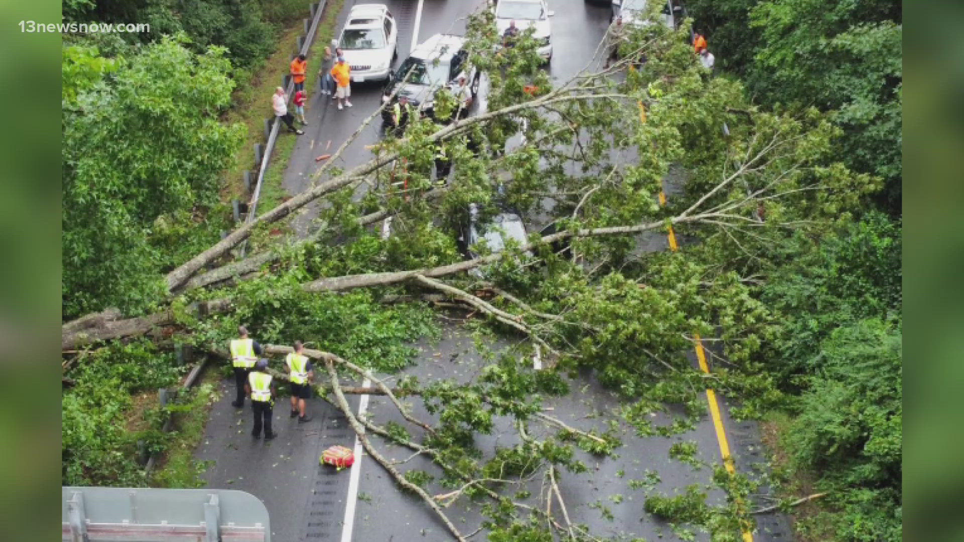 Two people had minor injuries after a large tree toppled onto Route 58 in Suffolk Thursday night during severe storms.