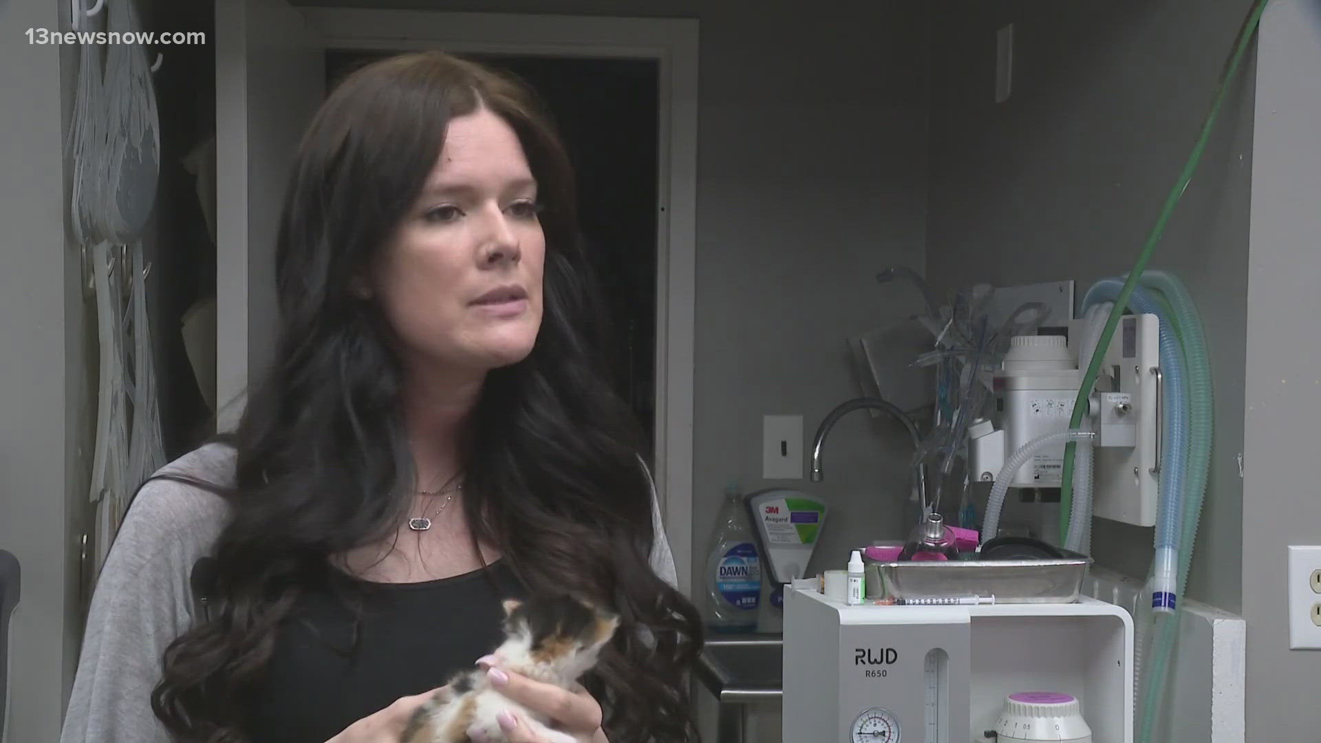 Shelters are overwhelmed with kittens this year and are asking for your help. They say spaying and neutering is one of the most important actions to take.