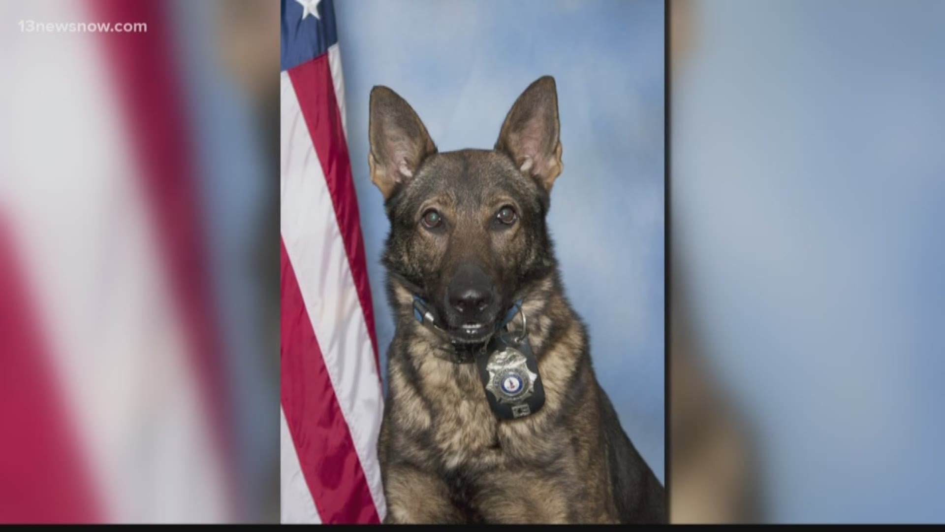 A Newport News retired Police K9, Klause, passed away.