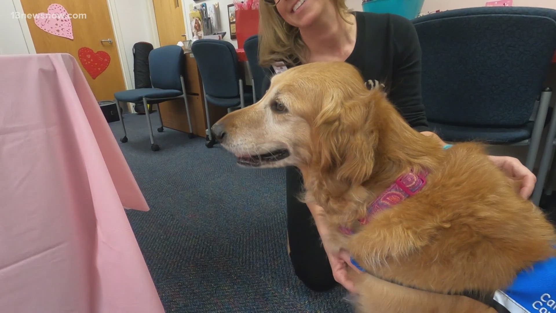 Sara Lee is retiring after eight years of serving patients as a facility  dog at CHKD