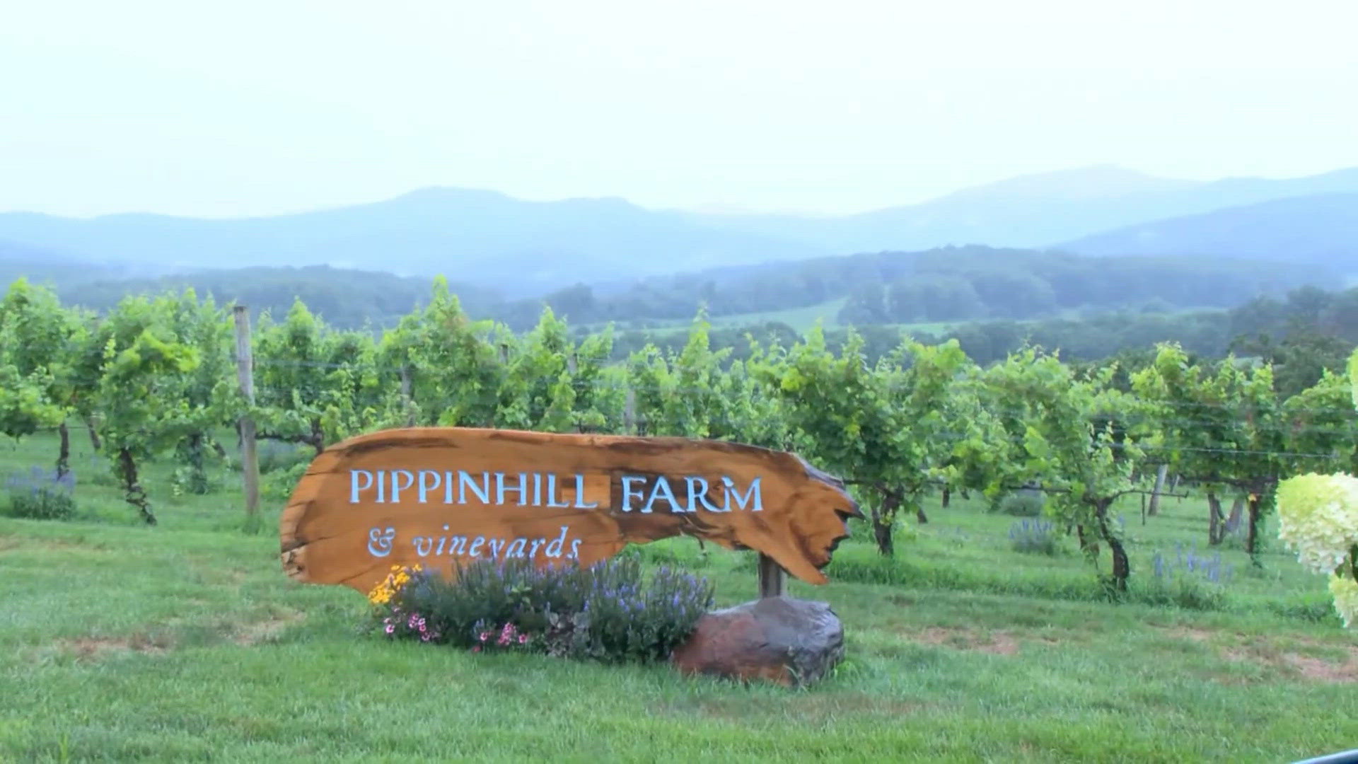 Virginia Wine Month