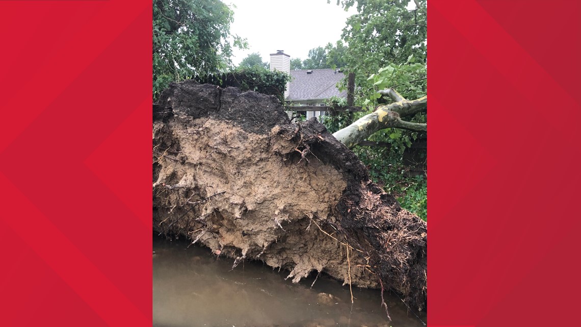 Quick-moving storms bring down trees, knock out power to thousands in ...