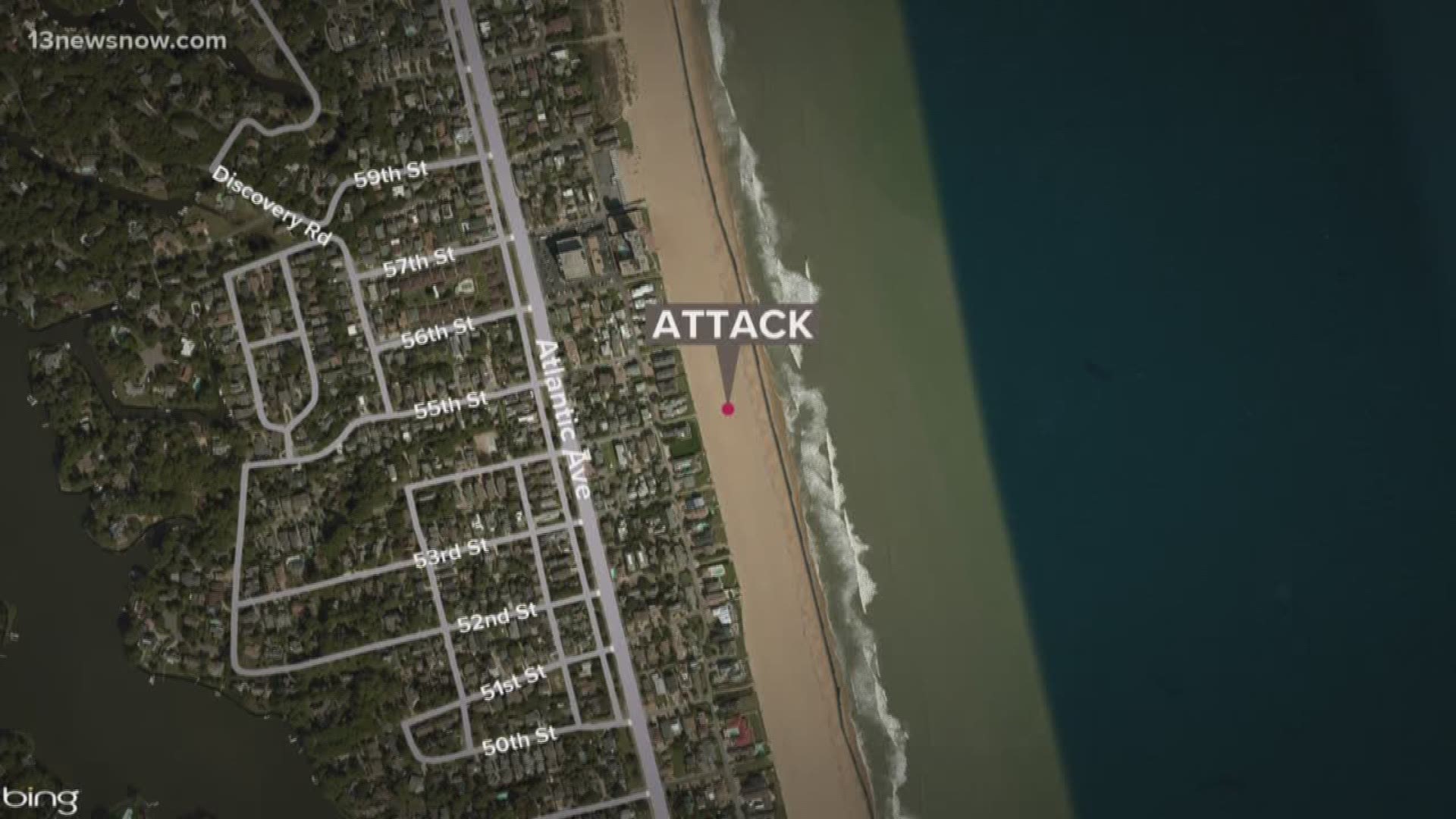 Virginia Beach Animal Control investigates dog attack on the beach