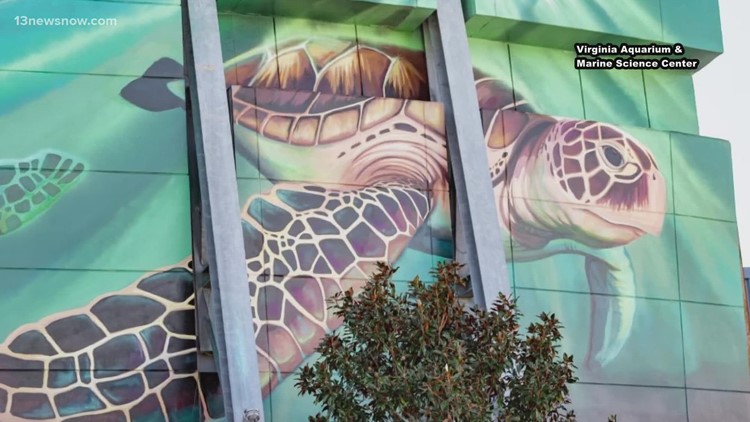 Mural on Virginia Aquarium wall is completed
