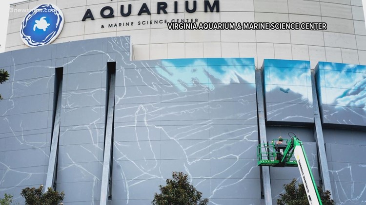 66 feet wide by 38 feet high | Virginia Aquarium commissions artist to paint marine mural