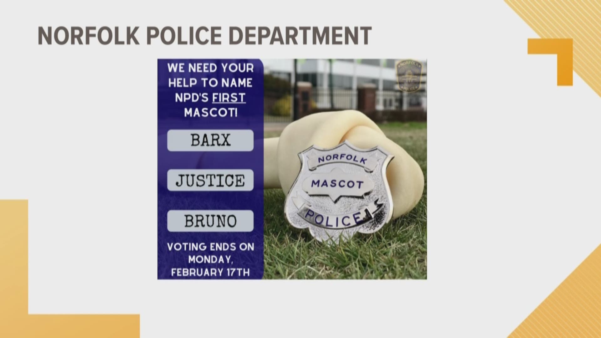Norfolk Police Department has a new mascot. They need help naming it.