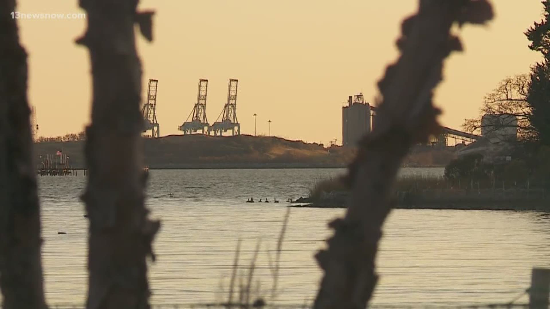The Environmental Protection Agency removed federal protections for waterways in the U.S., including Chesapeake Bay. 13News Now Madeline Schmitt has local reaction.