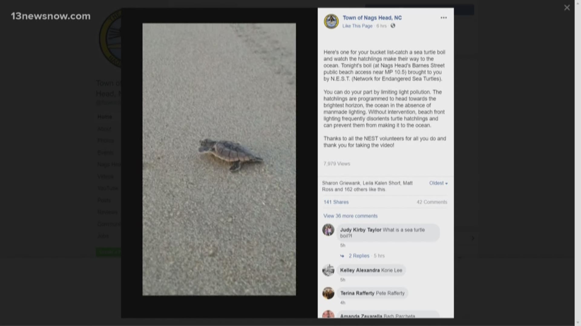 The Town of Nags Head shared video of sea turtle hatchlings scuffling their way across the beach toward the ocean!